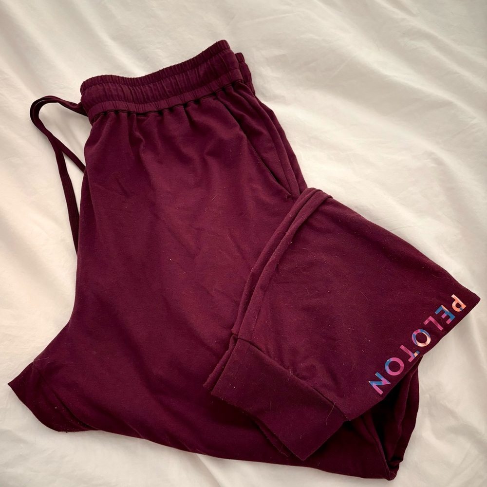 Peloton Dreamblend Jogger & Hoodie - Picture 5 of 7